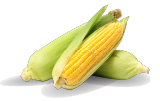 Image of corn